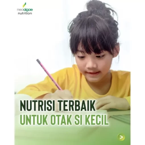Herbal Kecerdasan Anak Acekidz Propolis Murni 100 % 10 ml - Gambar 2